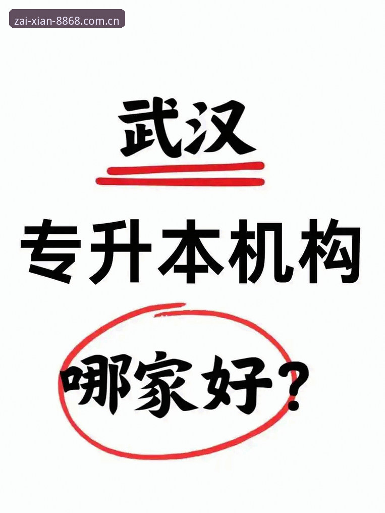 8868体育官网手机版2026最新版本详解：那些你踩过的登录坑，我都替你趟了一遍